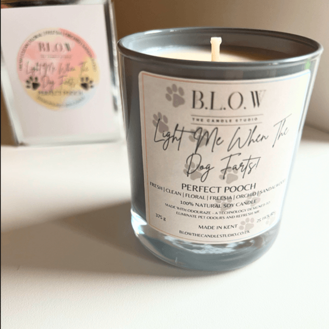 ‘Light Me When The Dog Farts’ Candle