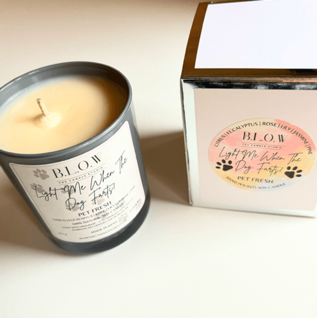 ‘Light Me When The Dog Farts’ Candle