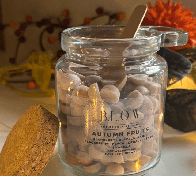 Autumn Fruits Dot Jar