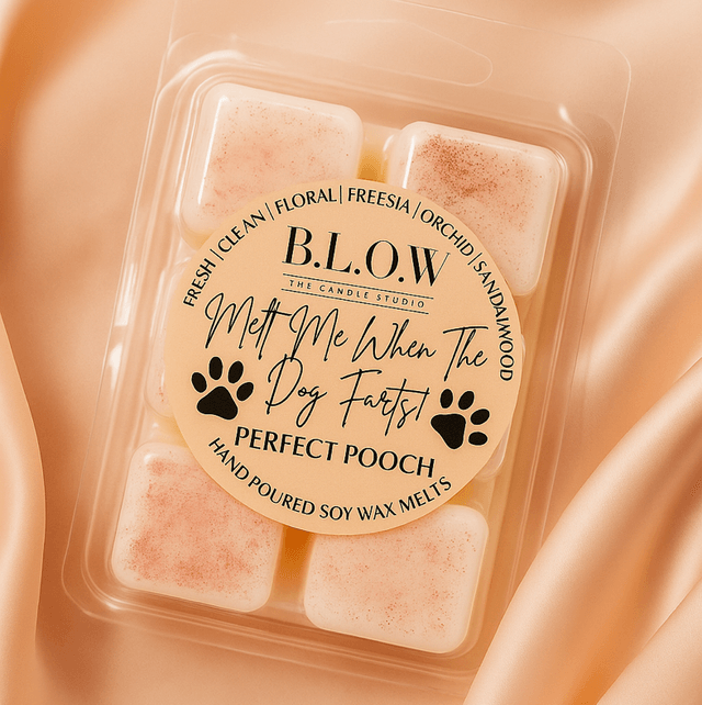 ‘Melt Me When The Dog Farts’ Wax Melts
