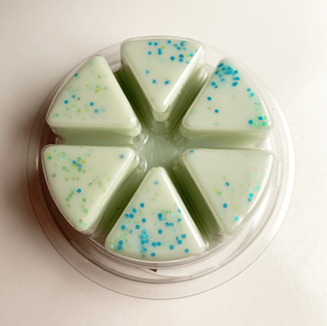 Wood Sage & Sea Salt Snap Pot
